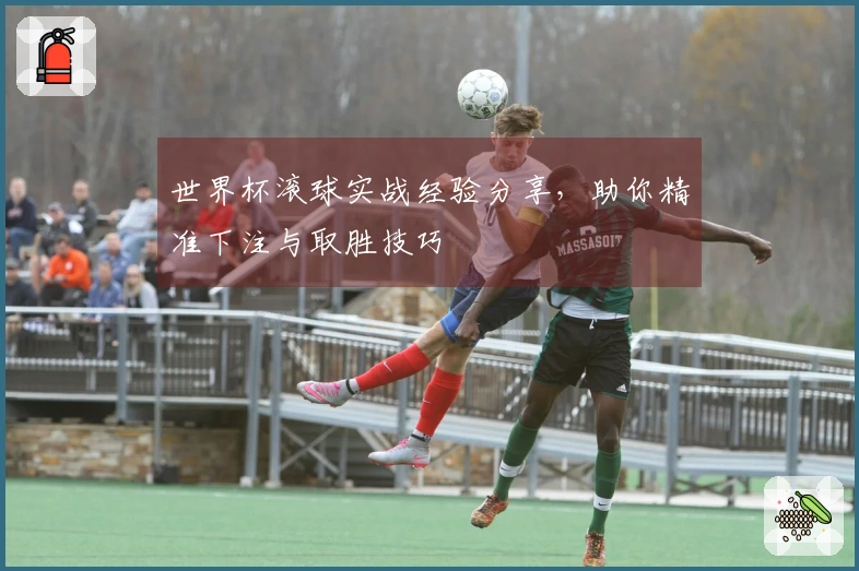 世界杯滚球实战经验分享，助你精准下注与取胜技巧