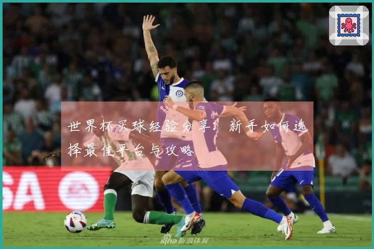 世界杯买球经验分享：新手如何选择最佳平台与攻略