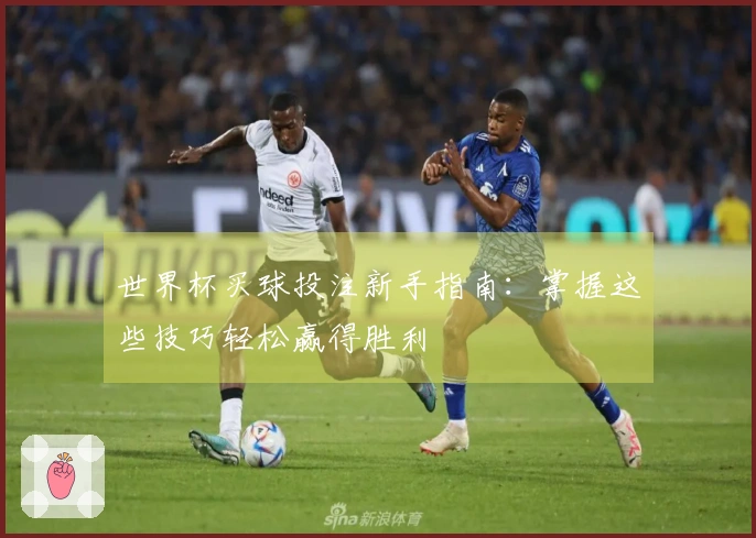 世界杯买球投注新手指南：掌握这些技巧轻松赢得胜利